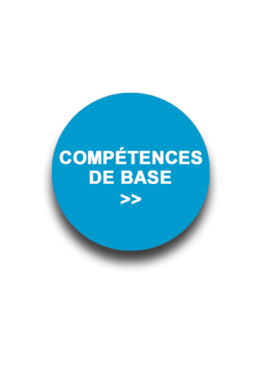 top-secteur-competences-380x534